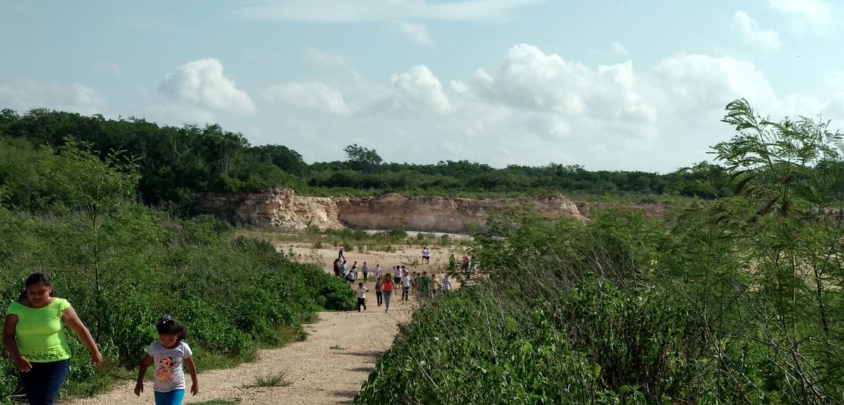 Memorias de nómada (@memoriasdnomada) on Twitter photo En 2017 empresarios deforestaron 612 hectáreas de tierra en la comunidad de Chocholá para instalar una calera. Durante más de 10 años presentaron 50 demandas y se manifestaron muchas veces.
<a href="/Nefelibata4ever/">José Cuervo (Lilia Balam)</a> reporteó la historia para <a href="/Jaltunmx/">Jaltún. Investigación y Acción Colectiva</a> 👇
jaltun.mx/chochola-vence… En 2017 empresarios deforestaron 612 hectáreas de tierra en la comunidad de Chocholá para instalar una calera. Durante más de 10 años presentaron 50 demandas y se manifestaron muchas veces.
<a href="/Nefelibata4ever/">José Cuervo (Lilia Balam)</a> reporteó la historia para <a href="/Jaltunmx/">Jaltún. Investigación y Acción Colectiva</a> 👇
jaltun.mx/chochola-vence…