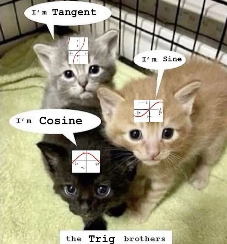 PunchingCat's tweet photo. https://t.co/RU1W638tky