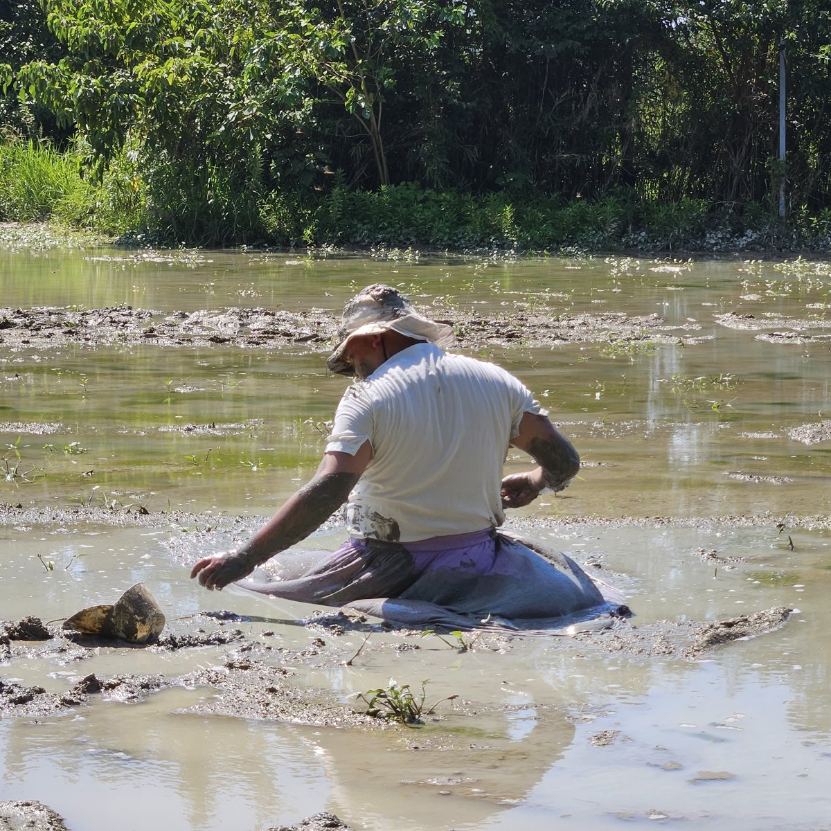 ブラウス＋スカートでの泥んこ遊びその5。