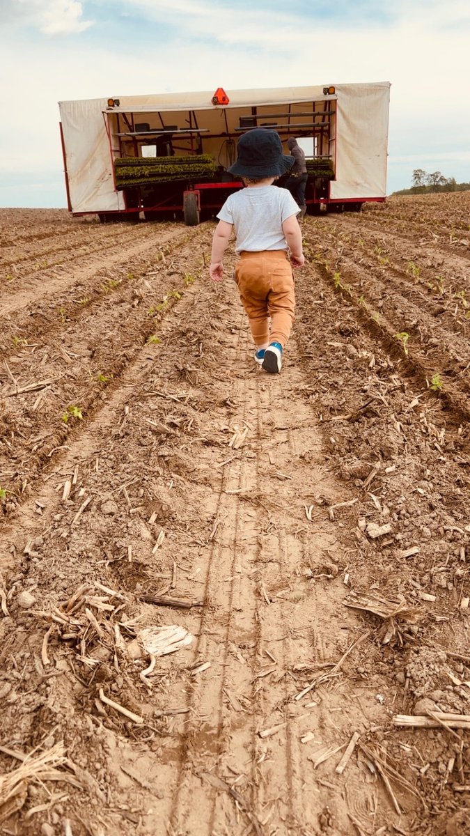 jordan_apers's tweet photo. Nolan learning the ropes 🍅 #ontag  #nextgen https://t.co/e0sImALmZA