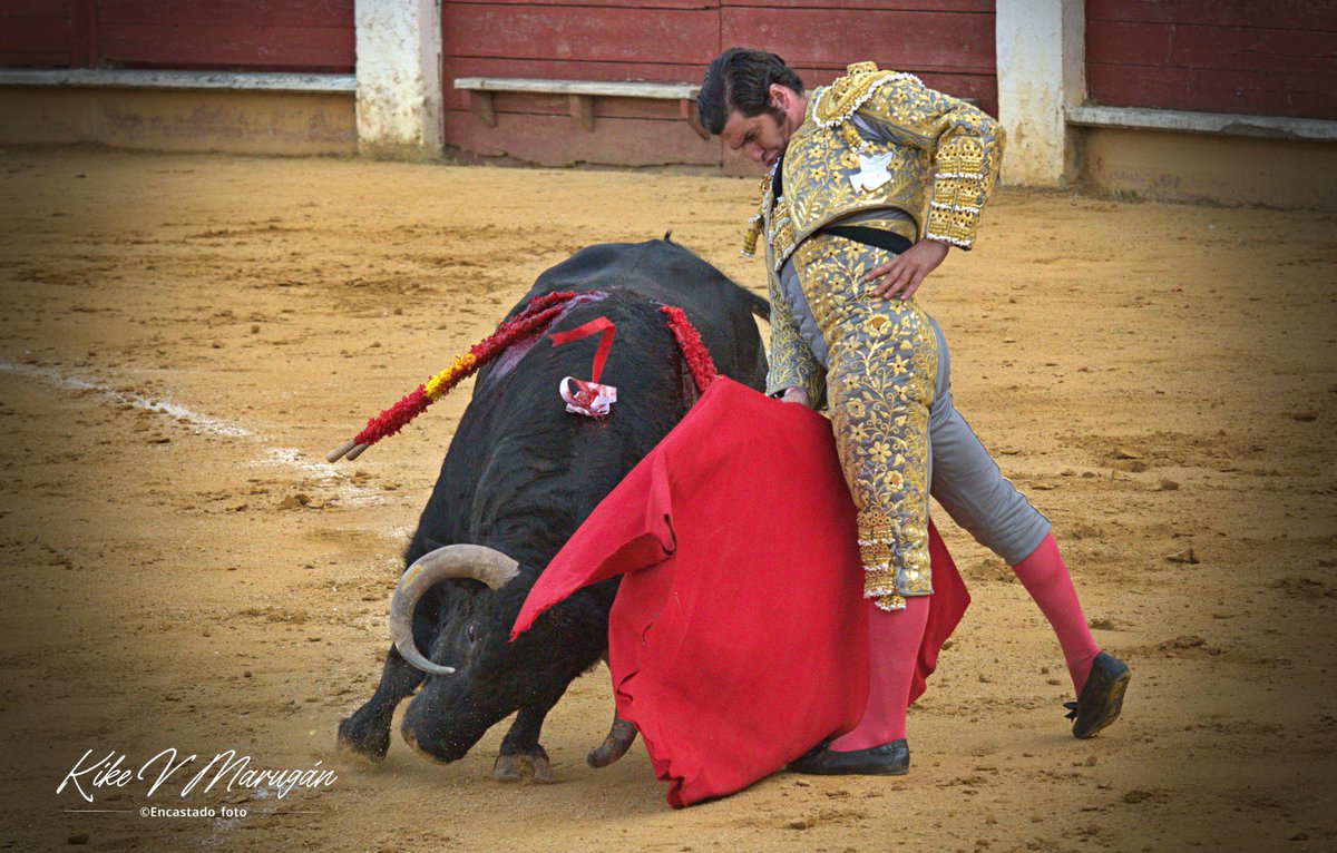 Encastado tweet media