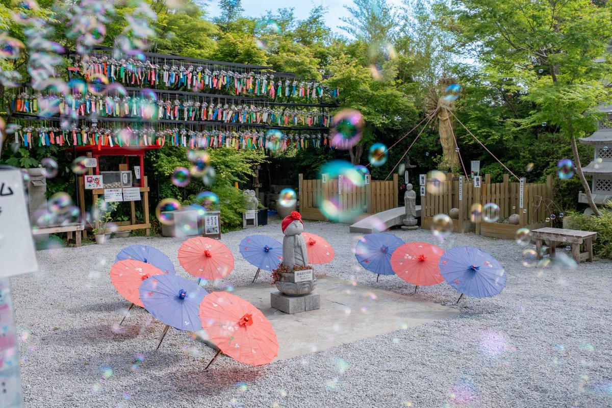 Himajinjijii's tweet photo. シャボン玉に包まれるお地蔵さま🫧
#三井寺 #お地蔵さん #シャボン玉 #風鈴
#jizo #soapball #windbell https://t.co/bQRS9n0lMZ
