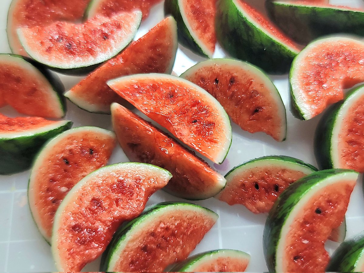 수박 씨 심기랑 질감 마무리가 일찍 끝나서... 조금 더 작업 힘내보겠습니다...