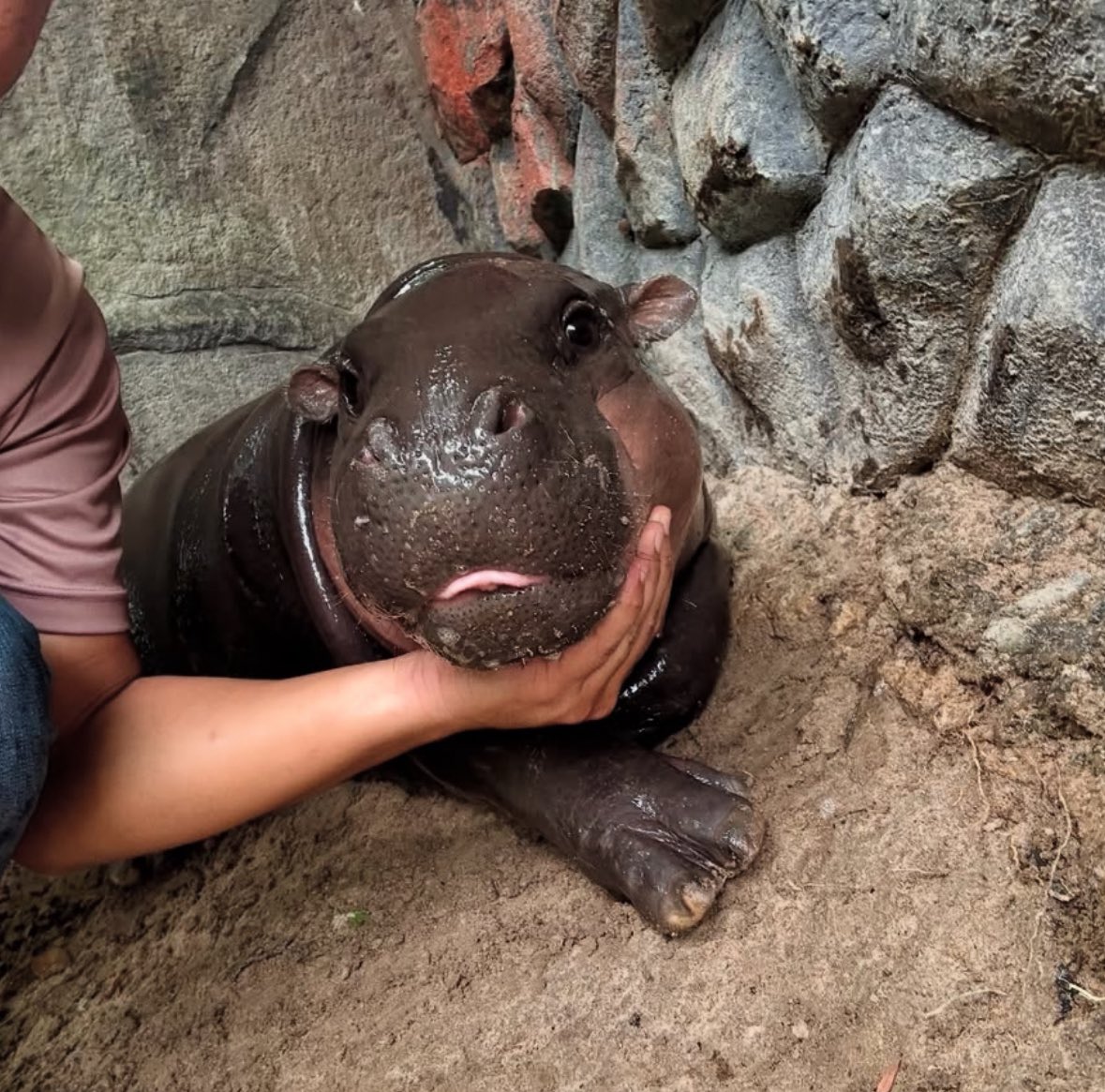 she knows she’s beautiful