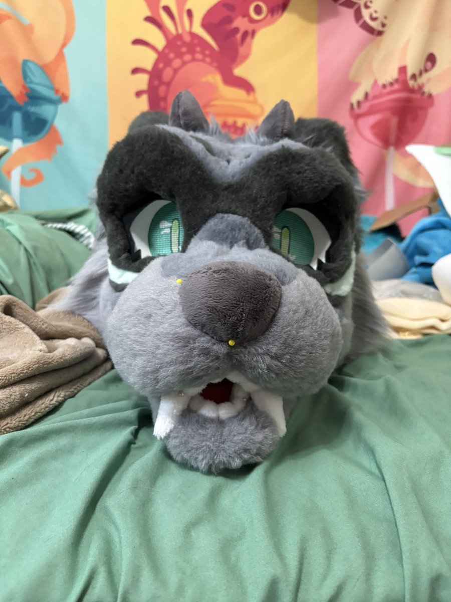 This racc is all sewn up and getting his dental work done!🙌 🦷 

#furry #fursuit #fursuitmaker #fursuiting #fursuitmakers #fursuitmaking #furryfandom