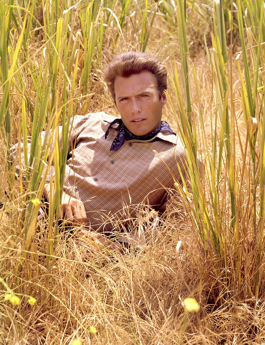 Wishing a Happy 95th Birthday to Clint Eastwood!