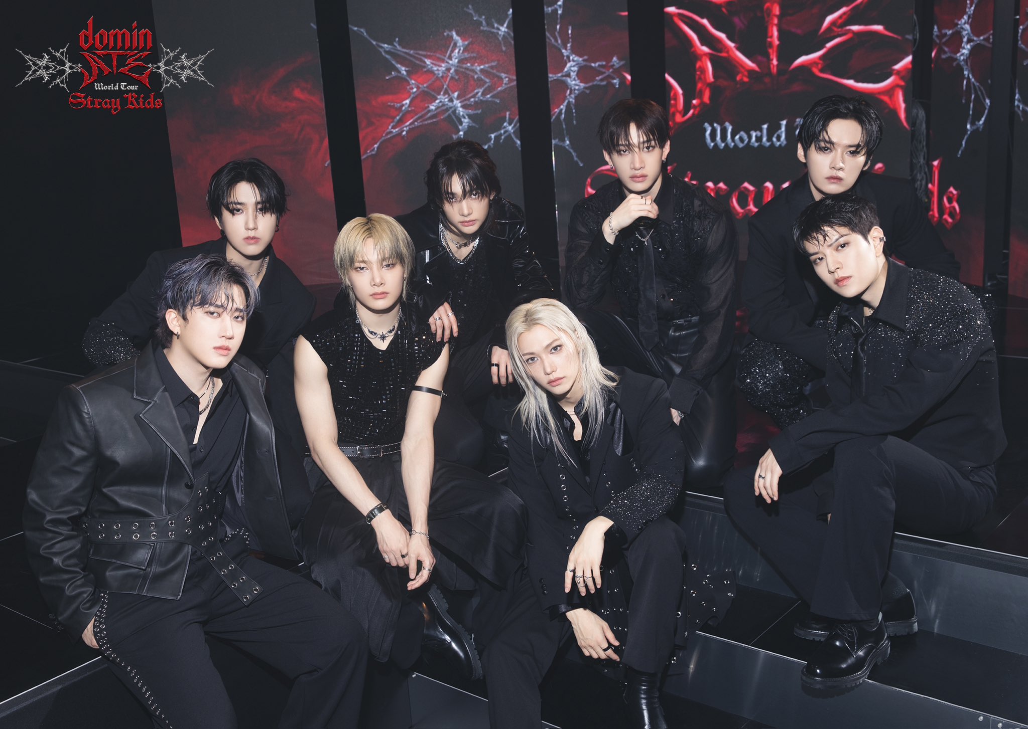 StrayKids フーディ Mサイズ アメリカ 闇zoo 未着用 スキズ