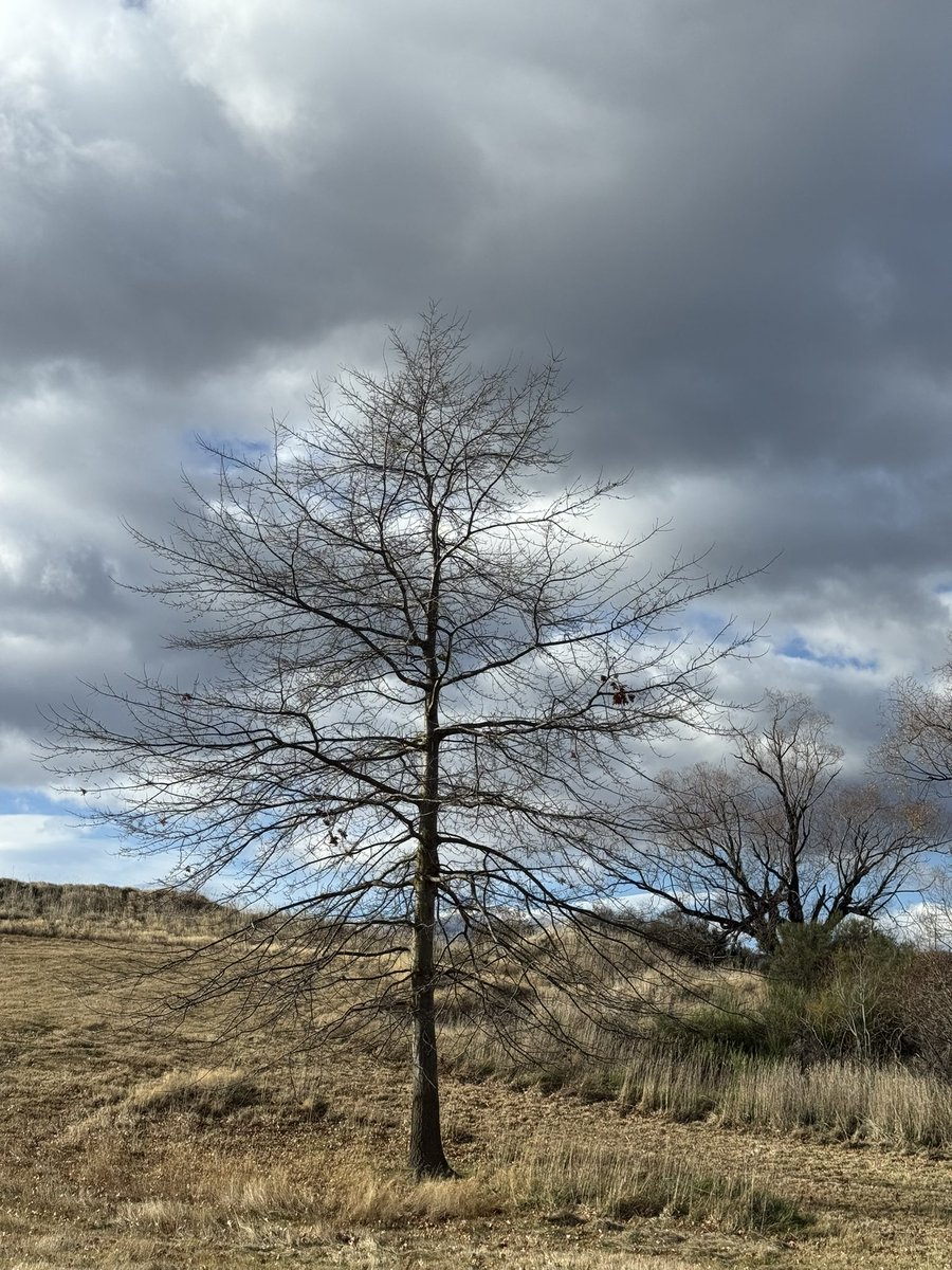 Jane Bloomfield tweet media