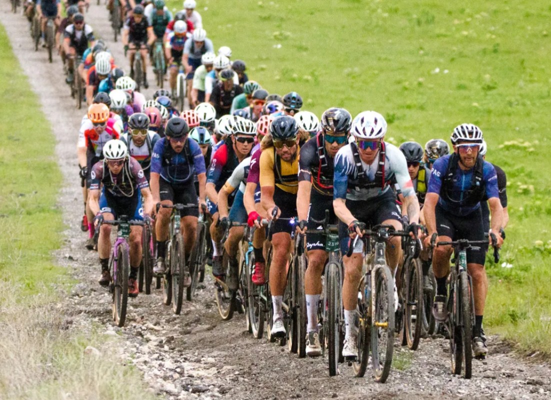 Islandstats tweet media