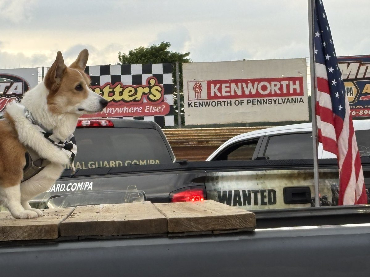 PushCorgi's tweet image. Military appreciation tonight at @PortRoyalSpdway #speedpalace 🇺🇸🐾