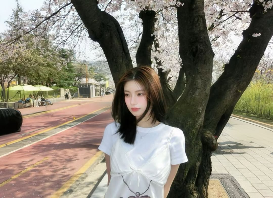 E00YR's tweet photo. 🌸 https://t.co/wt6EIigH3a
