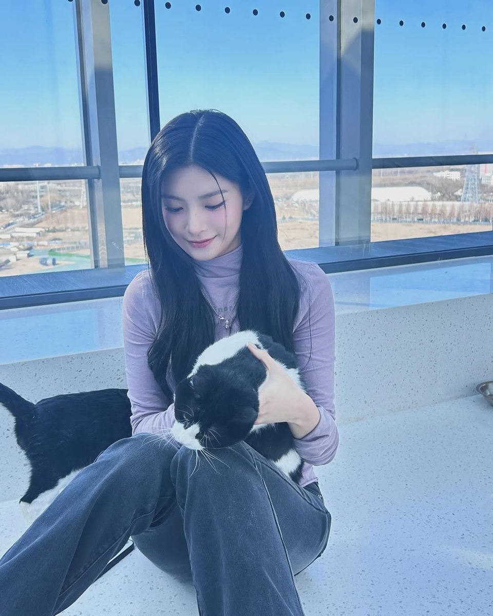 E00YR's tweet photo. 😽🤍 https://t.co/eRVrSUicUe
