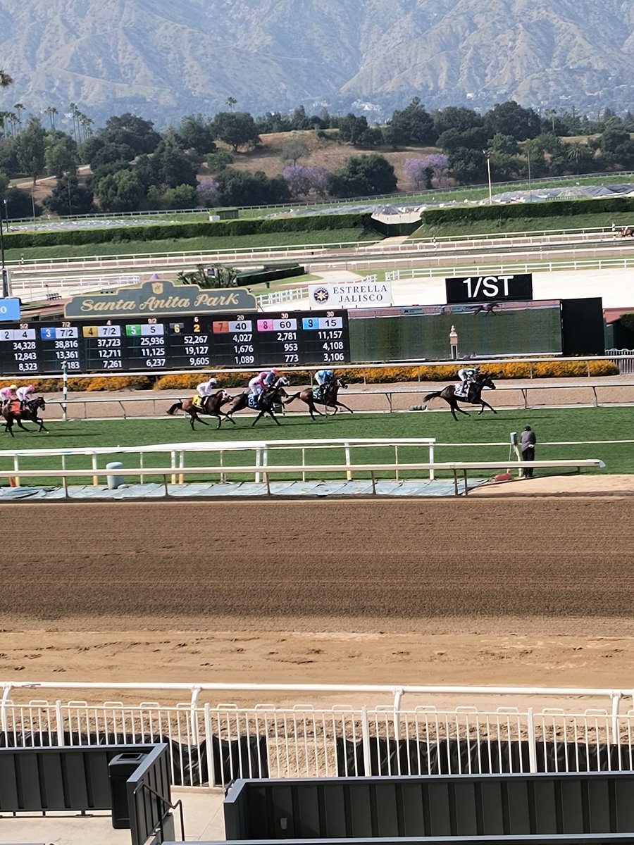 This is what still makes me happy I'm 2025.the great race place 🐎😎