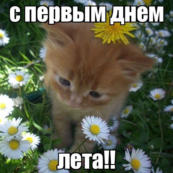 внезапное возвращение спустя год вхпхвх