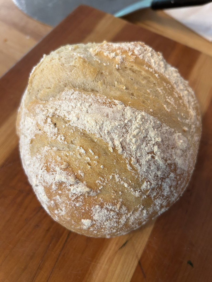 Kristin M. Collier, MD tweet media