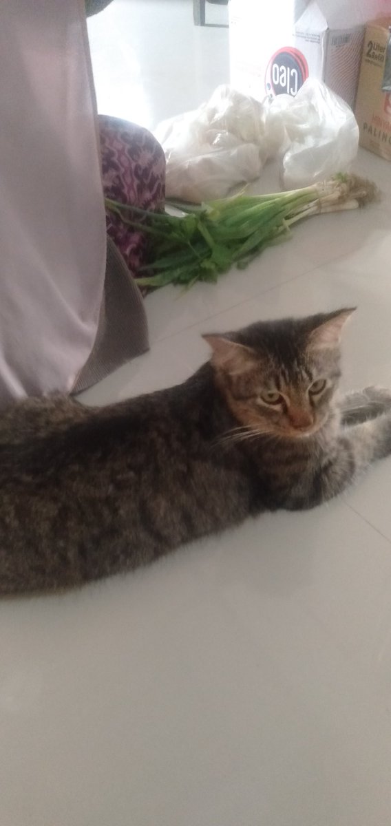 yuliaputriaaa's tweet photo. skrng gaada lg yg nungguin mama masak:( https://t.co/w4LVjXtrRx