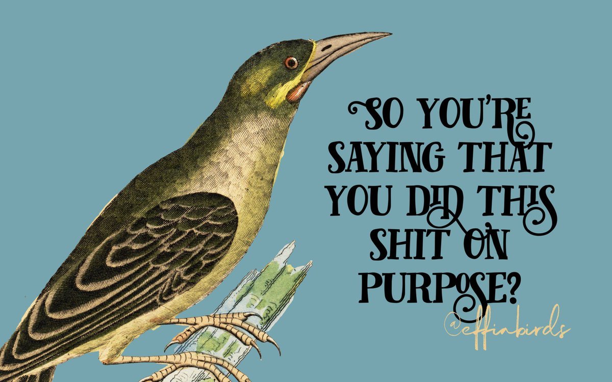 Effin' Birds (@effinbirds) on Twitter photo 