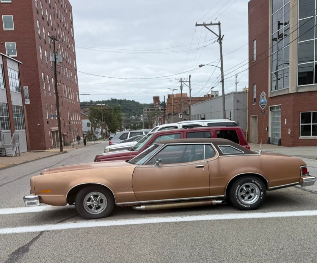 Böb Jänke: Hönkÿ tweet media