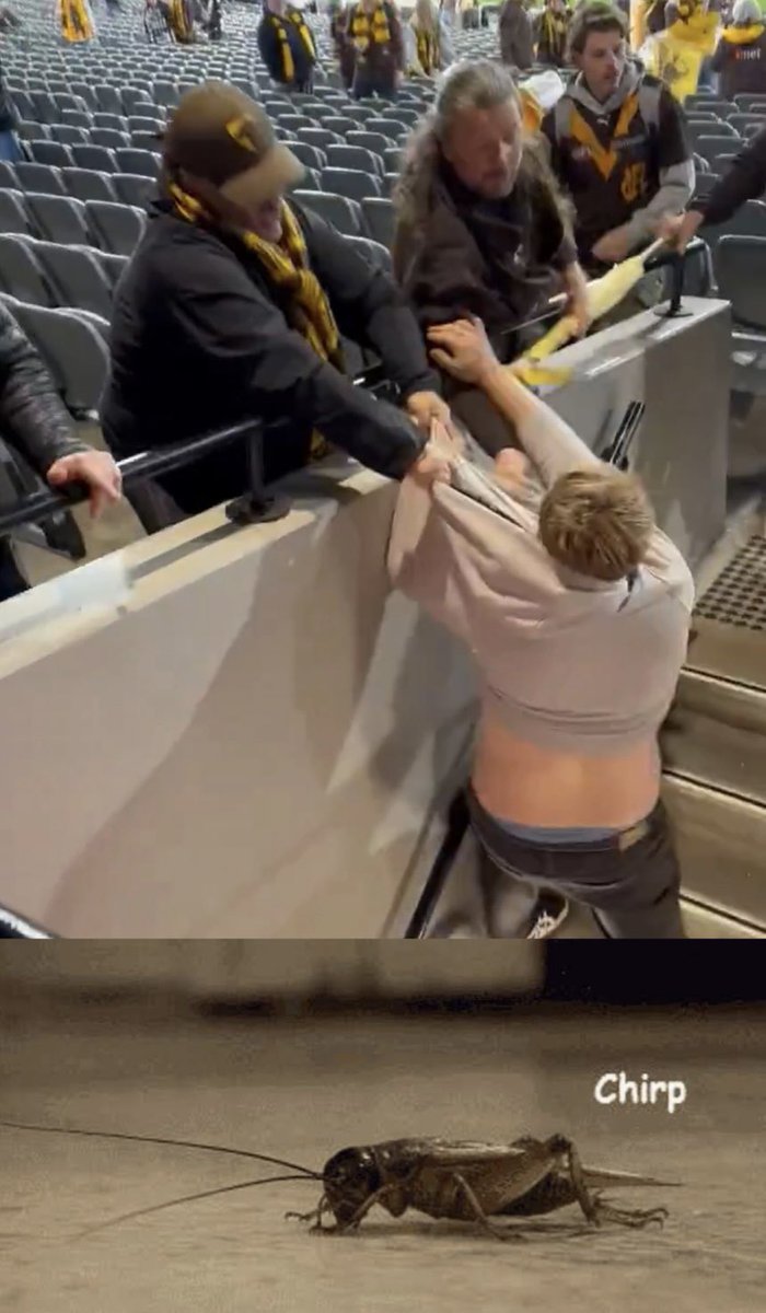 "sworn at police" was the best they could come up with