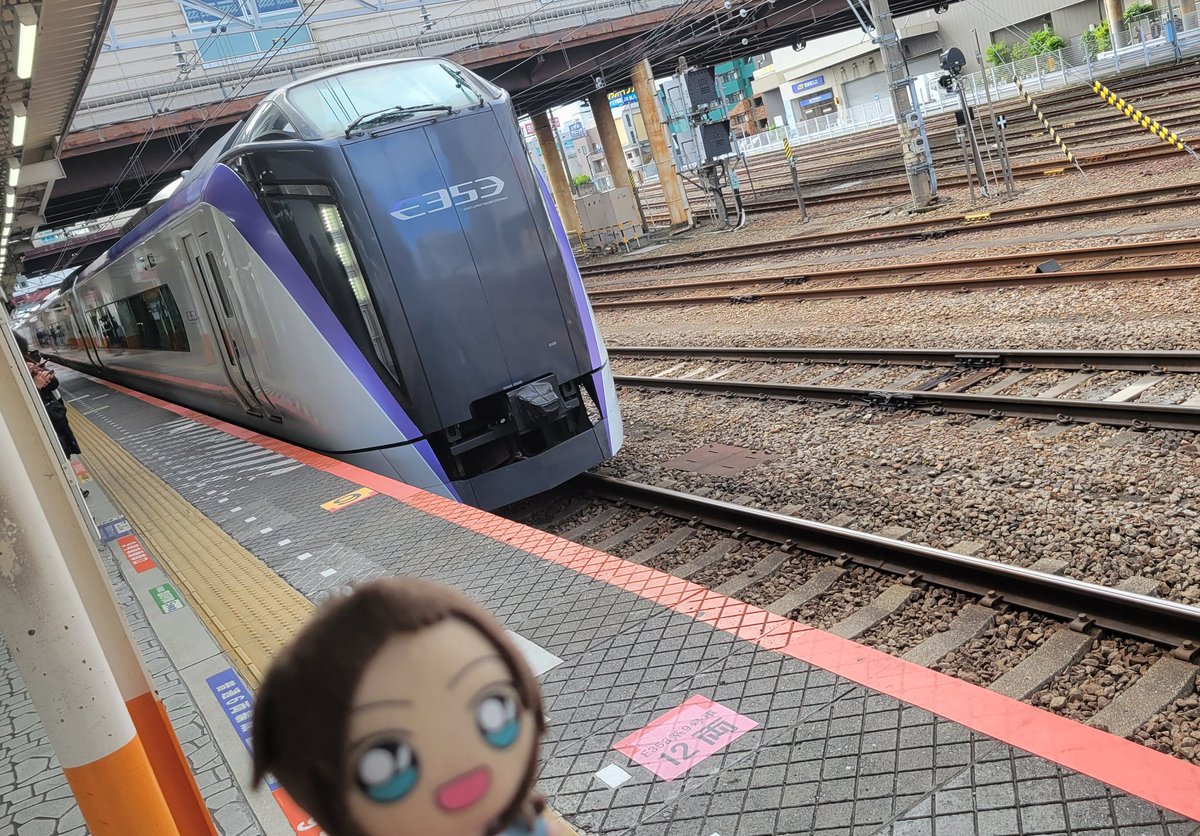 ココ tweet media