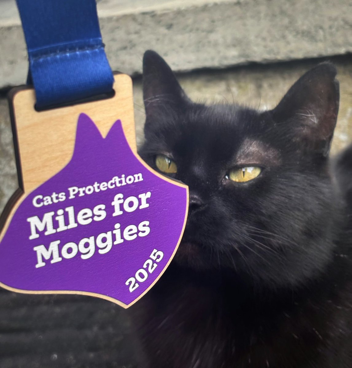 Harriet Stilley Kelly (@drhstilley) on Twitter photo This May I completed the <a href="/CatsProtection/">Cats Protection</a> #MilesforMoggies 10km challenge! Proceeds from my run were directed to their Belfast branch 🐈🐈⬛
If you would like to donate & help all the little moggies you still can: cats.org.uk/RGGENPMAX This May I completed the <a href="/CatsProtection/">Cats Protection</a> #MilesforMoggies 10km challenge! Proceeds from my run were directed to their Belfast branch 🐈🐈⬛
If you would like to donate & help all the little moggies you still can: cats.org.uk/RGGENPMAX