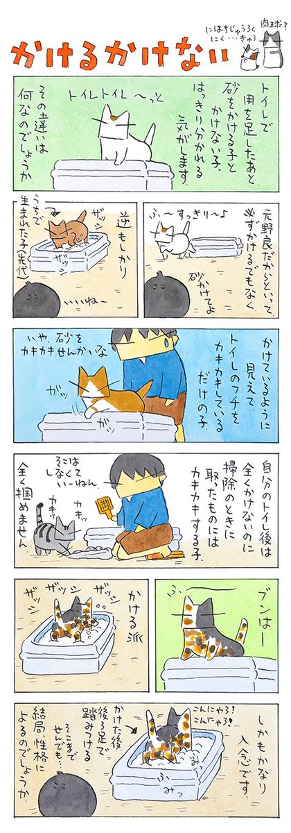 砂かけ論│フェリシモ猫部 https://t.co/bL2cysc9yz 