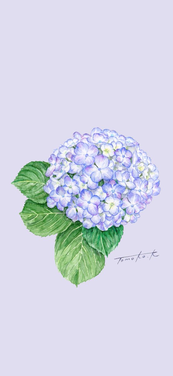 kuboitomoko's tweet image. ☂️6月待受画像🌈
皆様にいいことがたくさんある6月になりますように🍀
2種類作りましたのでお好みでどうぞ🎁
個人利用の範囲内でよろしくお願いします✨
#スマホ壁紙 #待ち受け配布 #無料配布