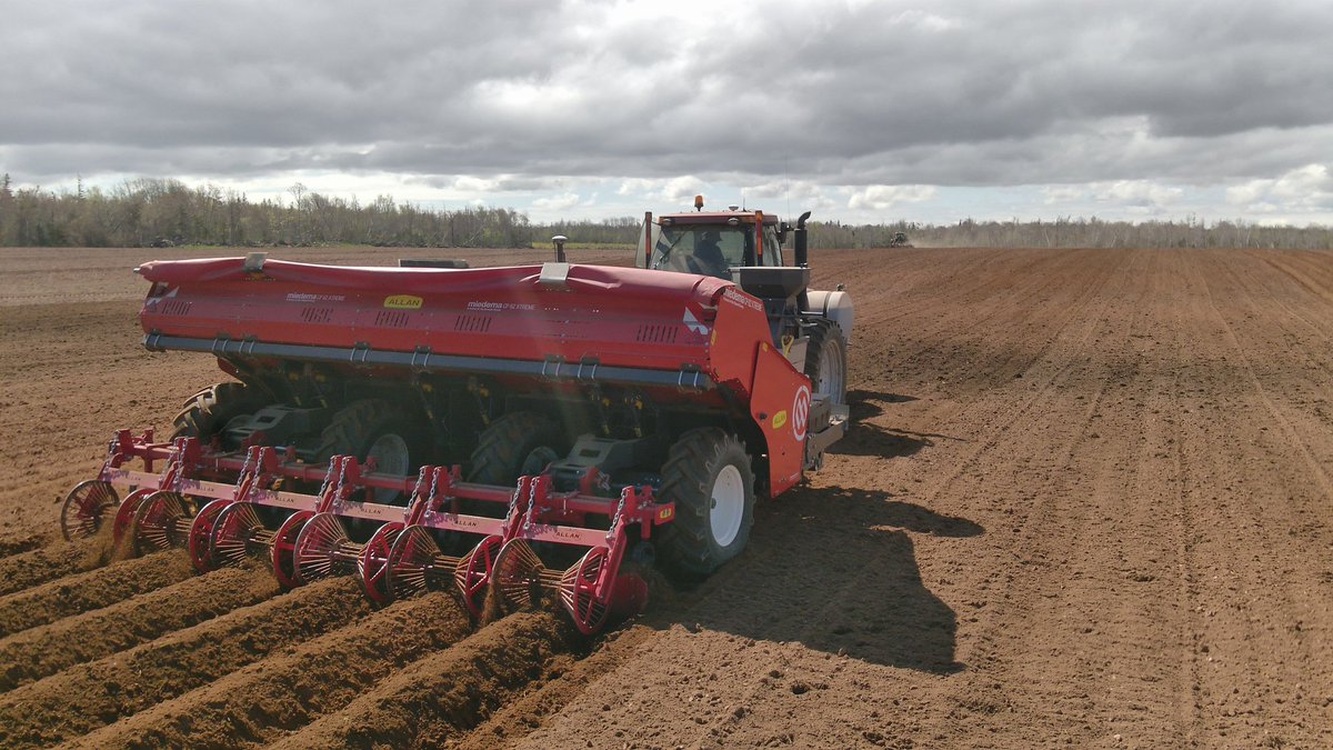 Home stretch #plant25