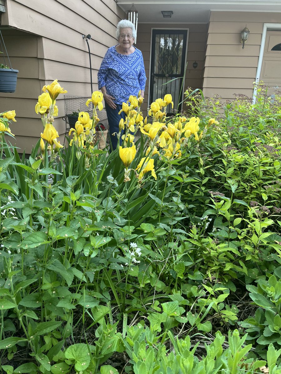 ChuckGrassley's tweet photo. Barbara w peonies and irises @ our farm https://t.co/PDGXTZO3HJ