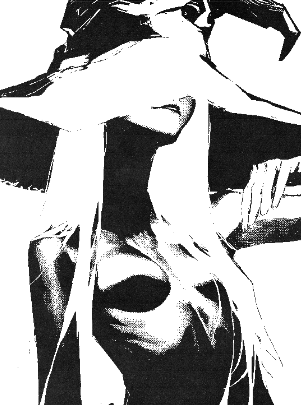 Recluse WIP