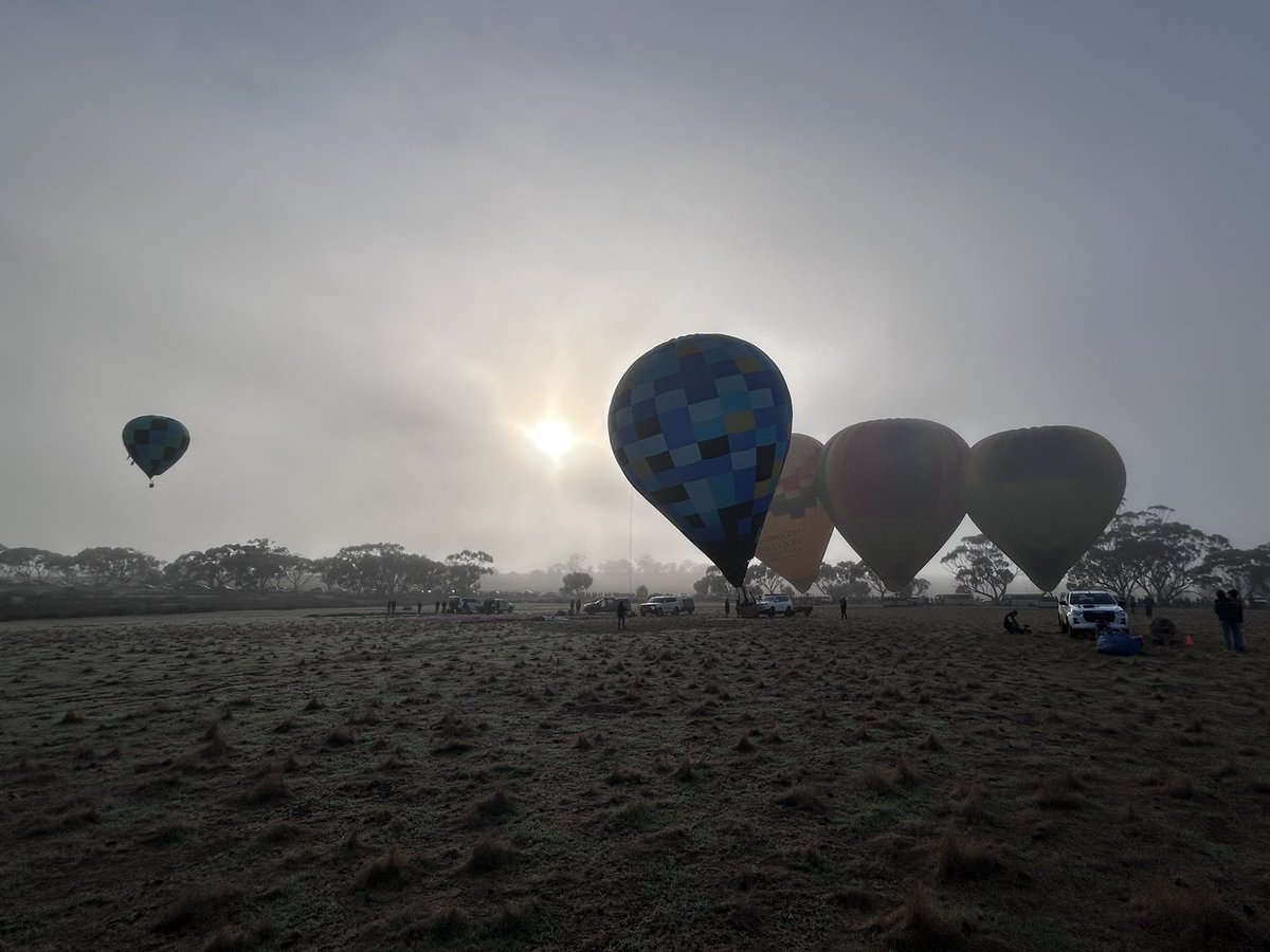 Glen Brayshaw tweet media