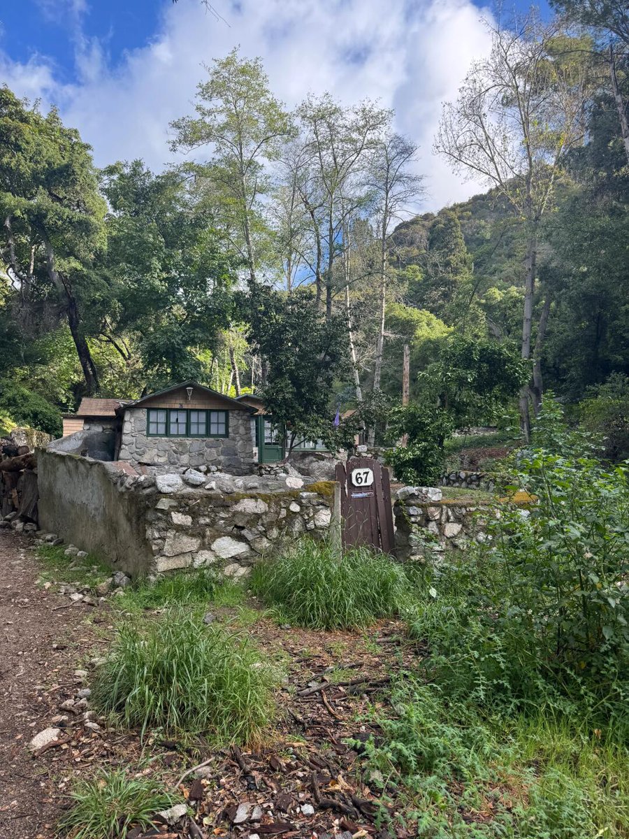 halay100's tweet image. That's why I like to go hiking