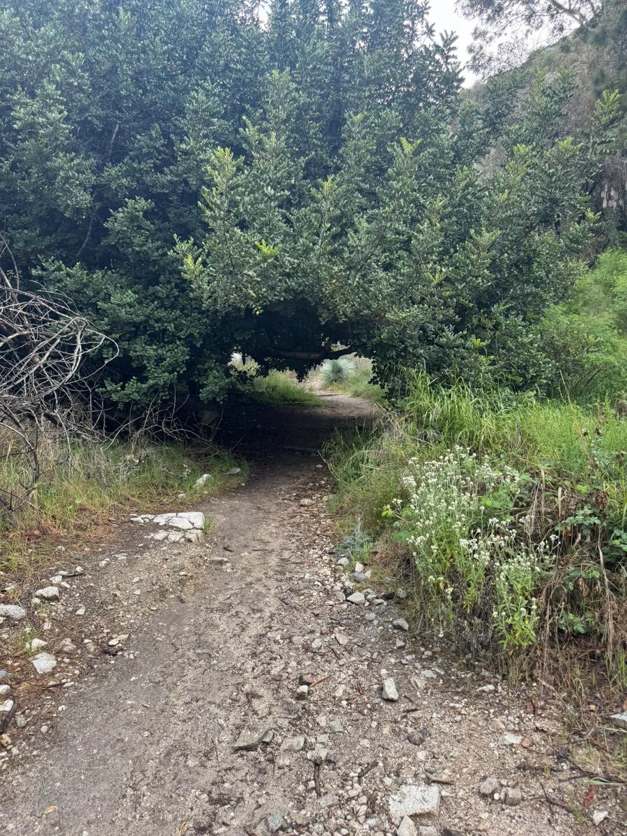 halay100's tweet image. That's why I like to go hiking