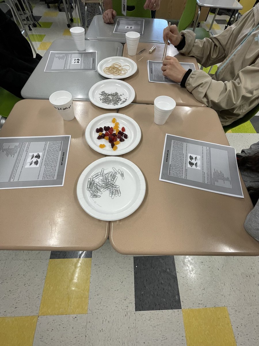 Connections Academy tweet media