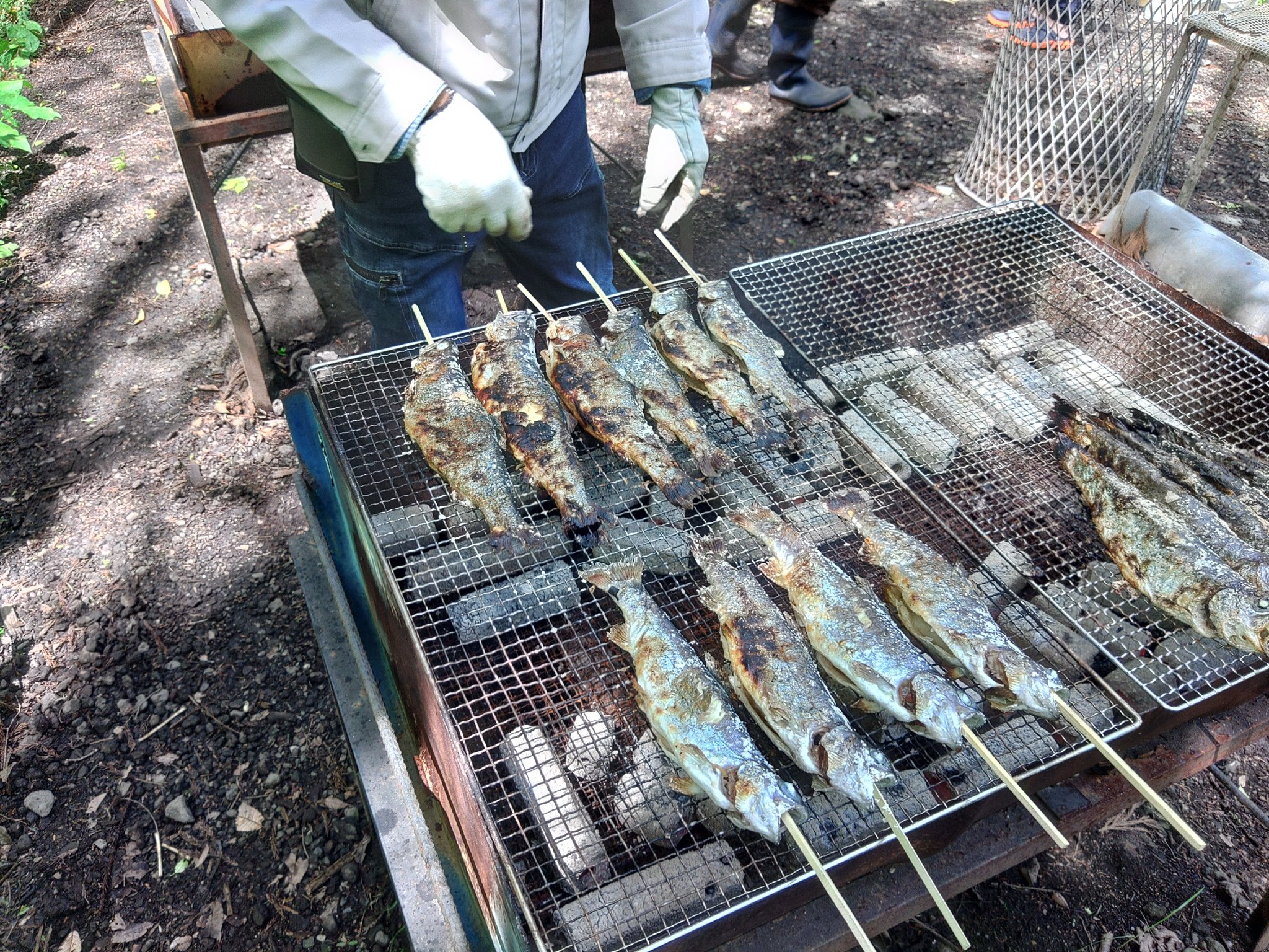 富士養鱒漁業協同組合 on X: 