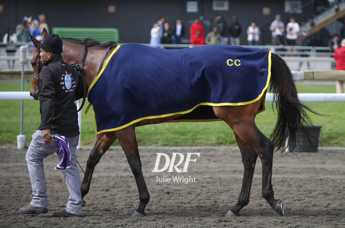 Julie Wright (@reddogcw) on Twitter photo A privilege seeing Gal in a Rush today, running for Miguel Clement for the first time at Woodbine. The CC blanket was so nice to see too. ๐ <a href="/DailyRacingForm/">Daily Racing Form</a> <a href="/westpointtbred/">West Point Tbred</a> A privilege seeing Gal in a Rush today, running for Miguel Clement for the first time at Woodbine. The CC blanket was so nice to see too. ๐ <a href="/DailyRacingForm/">Daily Racing Form</a> <a href="/westpointtbred/">West Point Tbred</a>