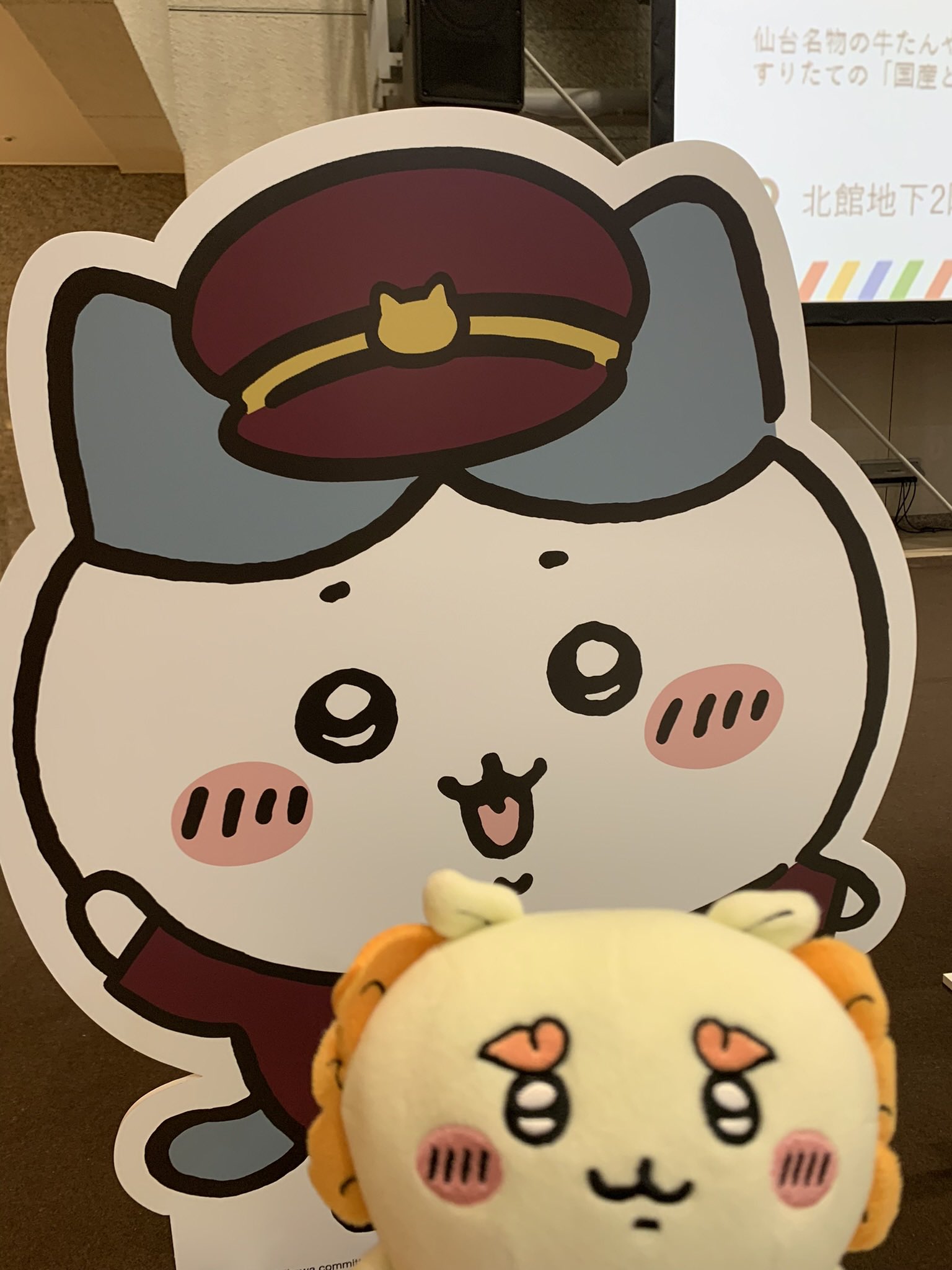 ちいかわ&ナガノキャラクターズ】1月後半の新商品発売量がやばい