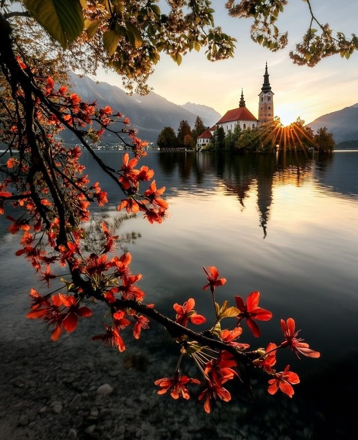🌻🌴Good morning .🌿💦🌾 Have a wonderful Sunday💜💕🧡 and a kind 💛🤍💙