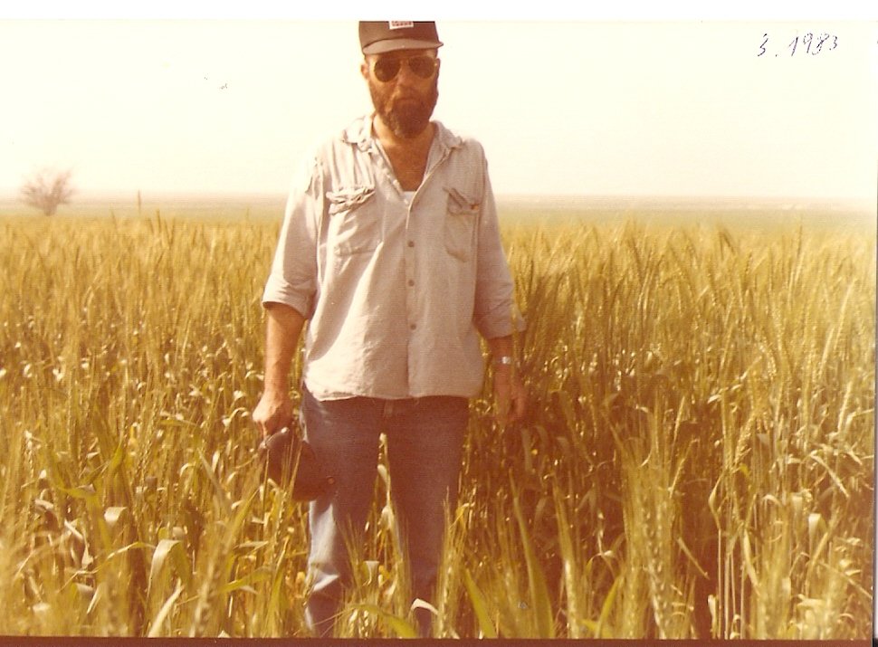 שבועות - קציר חיטים
החזירו את כולם