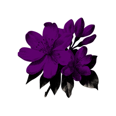 wiltedvipers's tweet image. ⠀𝖎𝖎.      𓆣        𓂃          𝑳𝖎𝐅𝐄    𝕰ᵀ͟ᴱ͟ᴿ͟ᴺ͟ᴬ͟ᴸ       ༒︎