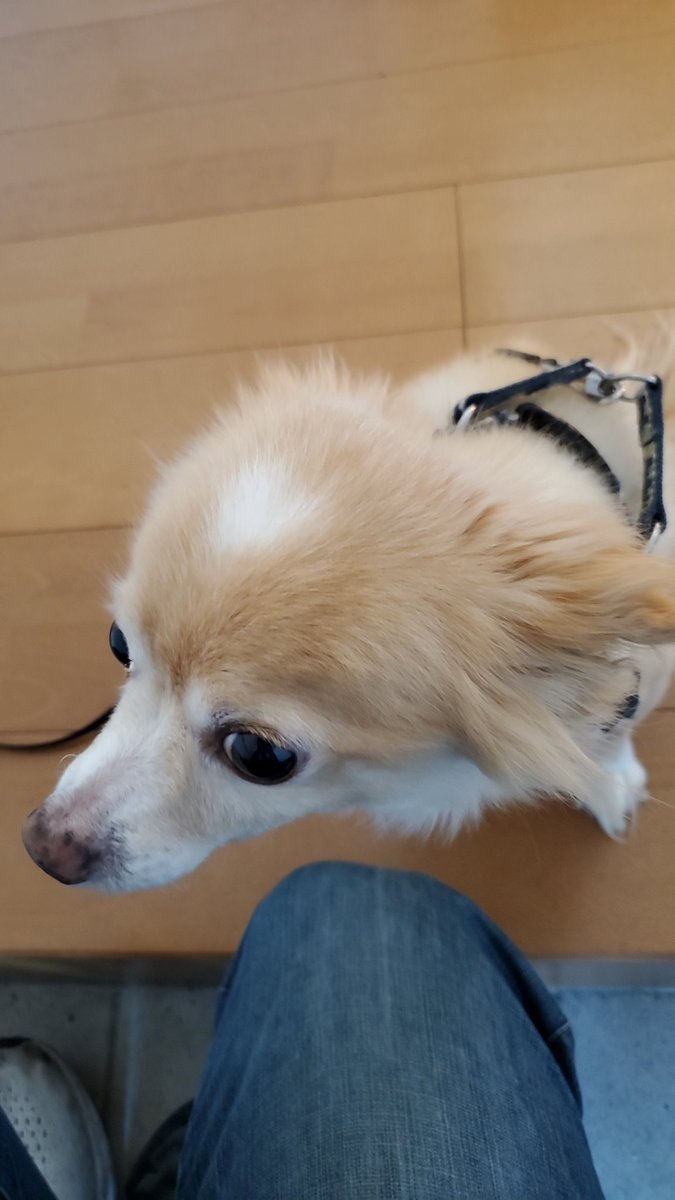 ひろきち？！ (@sarufreedom) / X