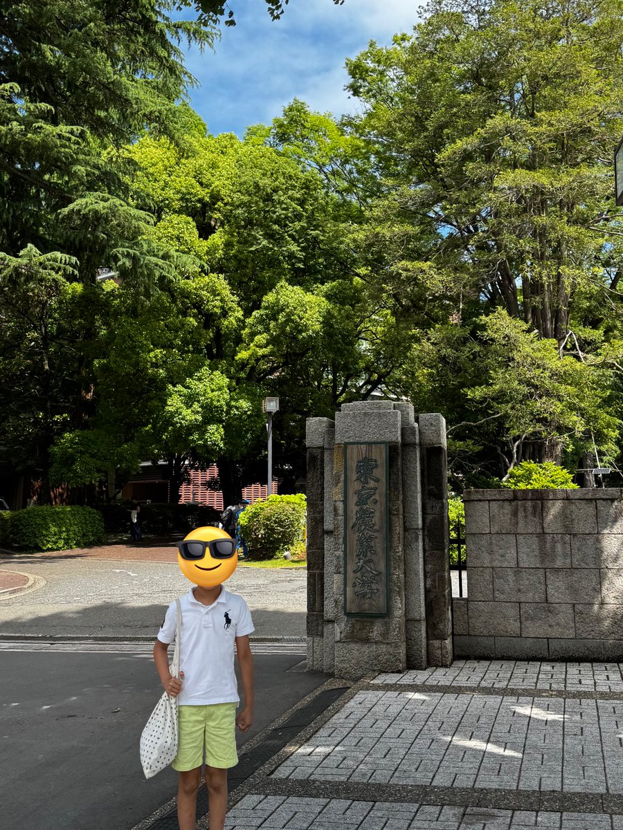 今日は長男とダヴィンチマスターズという体験教室に参加してます✏️
サピの先生が子供たちに水やゴムの不思議を教えてる間に、保護者に海外留学セミナーと資金調達相談会をするというビジネスモデル😅