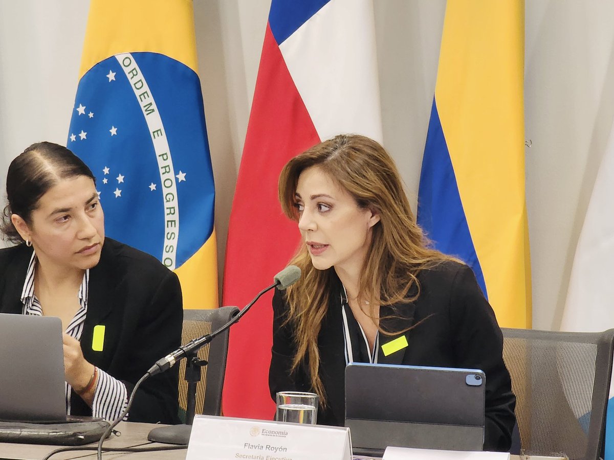 🇲🇽 En México, representé a 🇦🇷 en el debate regional sobre desarrollo productivo verde.
Como secretaria de la Mesa del Litio expuse que el desarrollo exige visión, reglas claras y un modelo que genere empleo e inversión.
Argentina tiene el potencial y el plan para hacerlo realidad