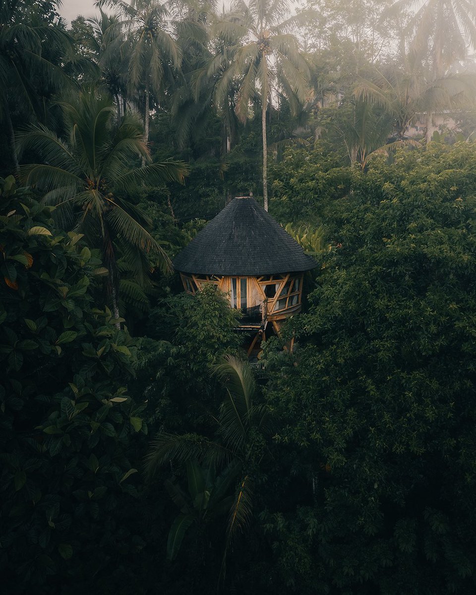 GM 

H I D E O U T

-  Rainforest Series
-  Limited Edition of 25
-  0.03 Ξ
-  22/25 available 
-  On <a href="/Shape_L2/">Shape</a> x <a href="/TransientLabs/">Transient Labs</a>