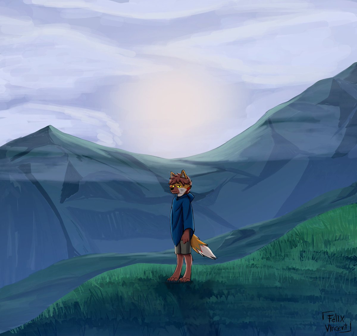 The fool on the hill 🐺