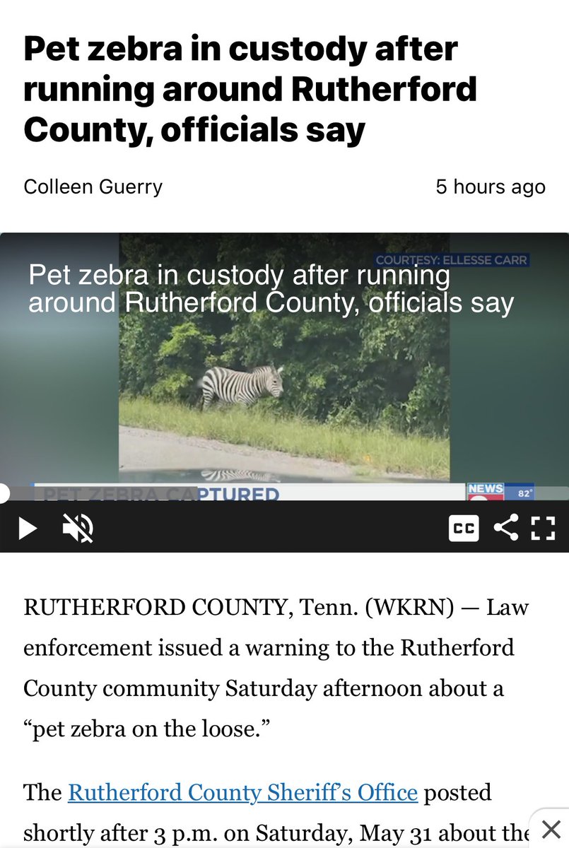 Hannah Hoefs tweet media