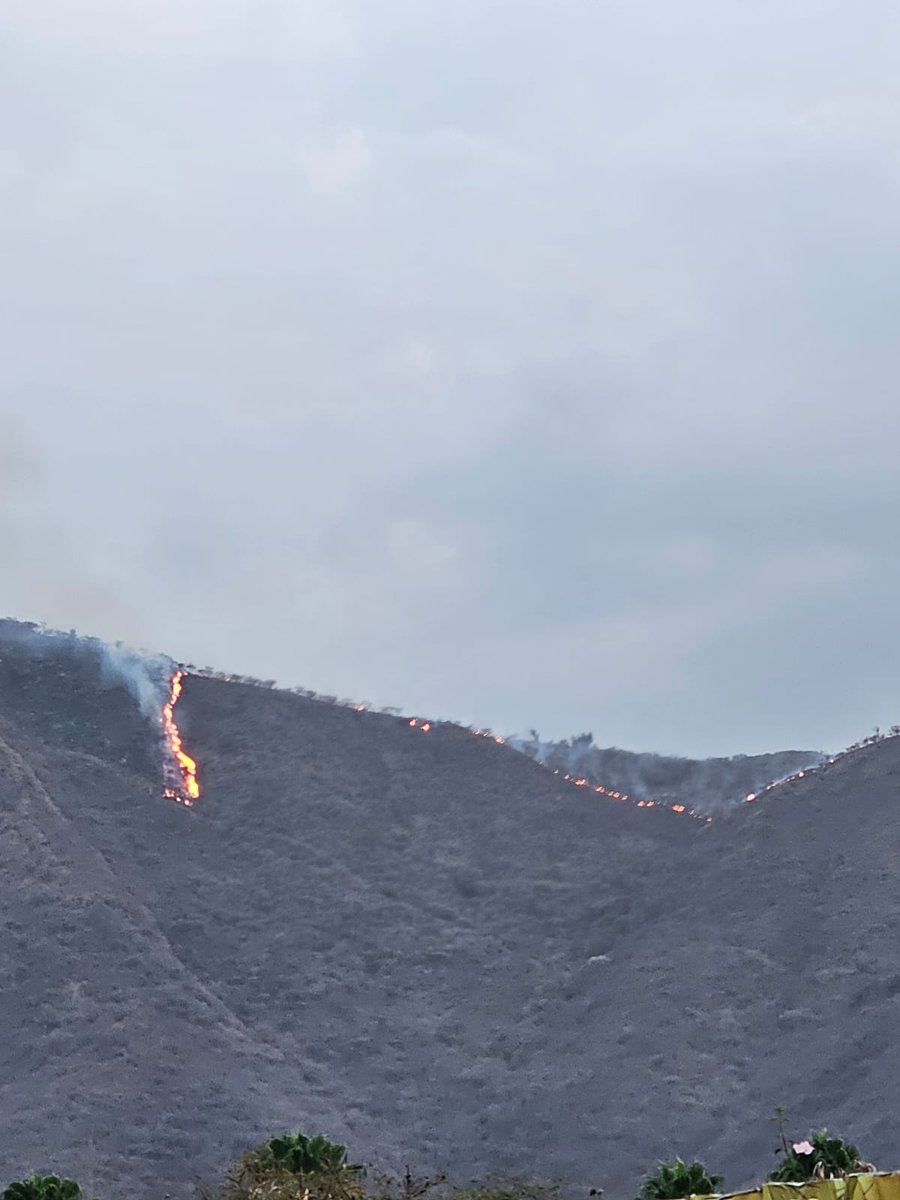 #BajaVerapaz Se registra incendio en Cerro del Guayacán, Salamá, Baja Verapaz. Sistema CONRED coordina acciones de supresión.

Fotografías: Sistema CONRED.