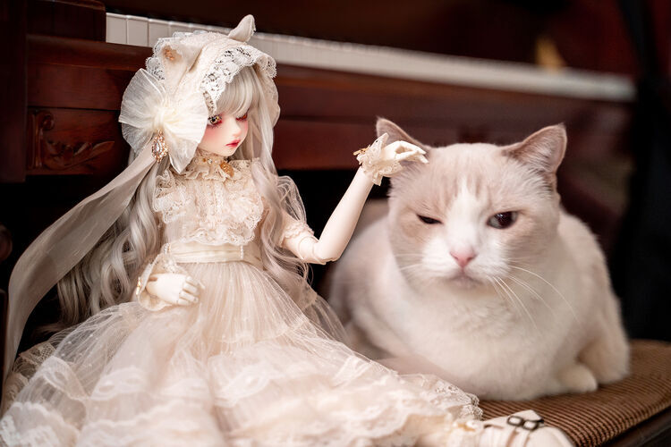 本日締切】?DOLK×MYOU DOLL? ──すきなものは、だんぼーると 
