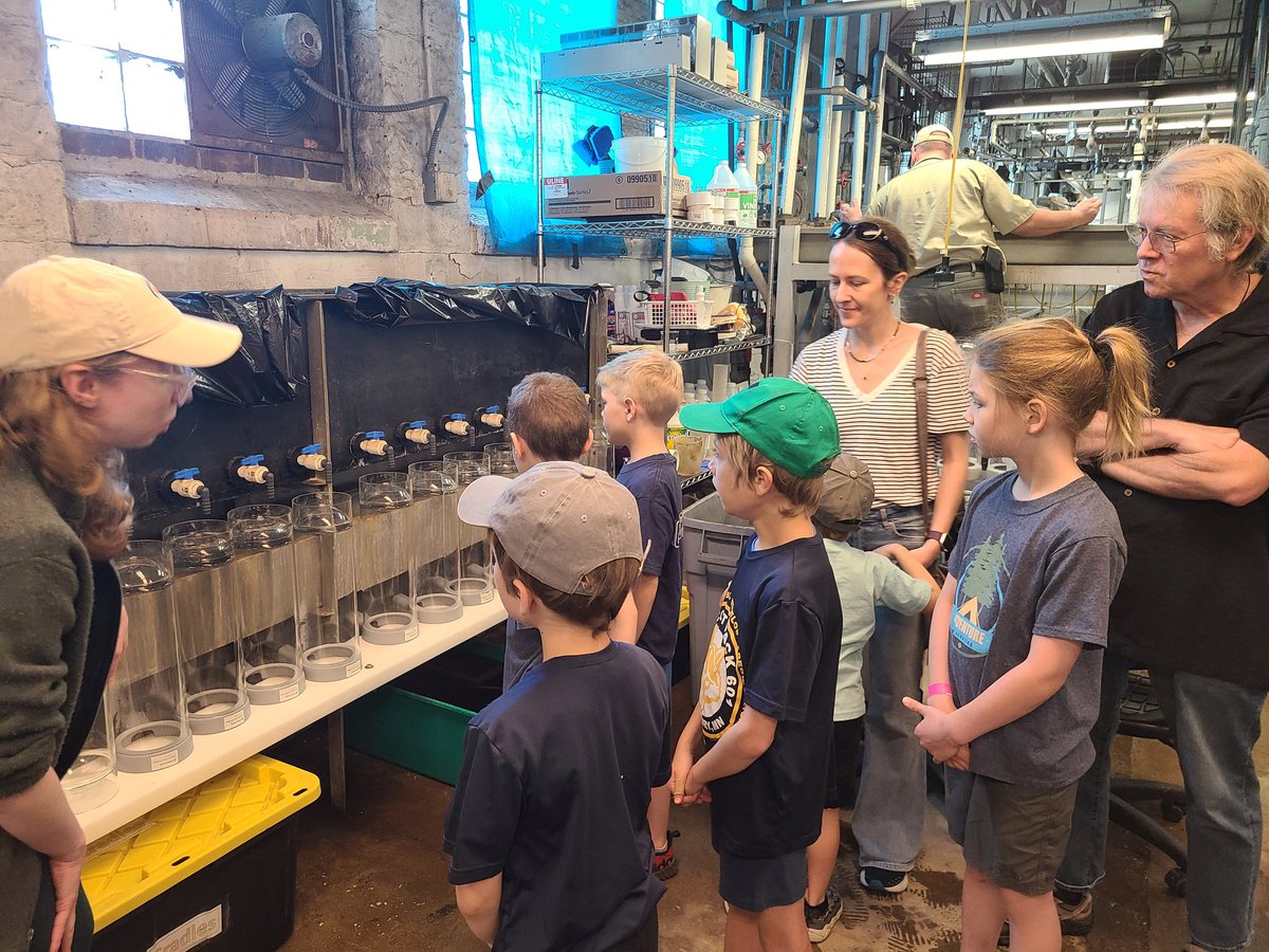 NicoleM_MN's tweet image. A perfect spring day enjoying a couple MN treasures...
Thanks @mndnr for the hatchery tour!
Our scout troop learned about the process from egg to stocking MN lakes + saw baby musky.
Then, a great time @TheOrdway Flint Hills Family Fest. Music 🎶, activities, & saw a great show!