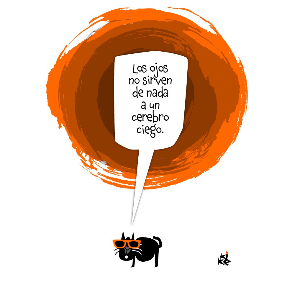 Los ojos no sirven de nada a un cerebro ciego